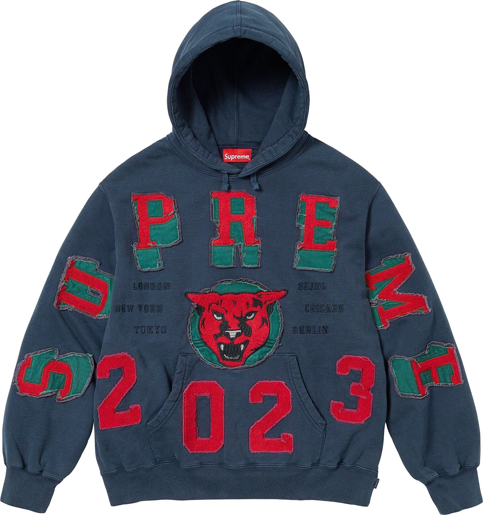 Washed Panther Hooded Sweatshirt view 3
